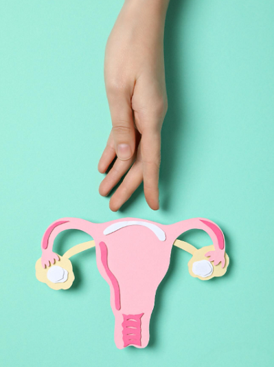 Uterine fibroid treatment in Indore by Dr. Deepali Mittal, Best Gynecologist in Indore